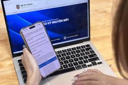 Từ 31/8, một số loại tài sản bắt buộc đấu giá trực tuyến