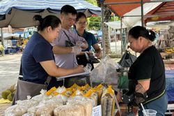 Giám sát chất lượng an toàn thực phẩm nông, lâm, thủy sản tại 2 xã: Trùng Khánh, Đoài Dương
