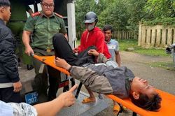 Bị sét đánh gục khi đang khi thác keo, 2 người thoát nguy nhờ cuộc ứng cứu xuyên rừng