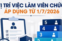 5 bậc nghề nghiệp mới đối với vị trí việc làm viên chức từ 1/7