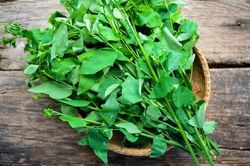Tháng 7, chợ đầy ắp 5 loại rau vừa rẻ vừa ngon, bà nội trợ không nên bỏ lỡ