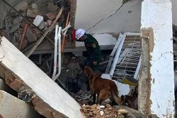Đội cứu hộ Việt Nam tìm thấy thi thể 8 nạn nhân ở Venezuela sau một ngày làm nhiệm vụ