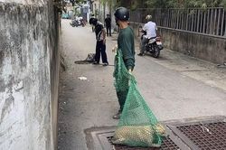 Phường Dĩ An: Bắt giữ nhiều 'thú cưng' trong ngày đầu ra quân xử lý động vật thả rông