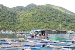 Đầu tư hạ tầng nuôi trồng thủy sản nước lợ và nước mặn tại xã Xuân Cảnh, tỉnh Đắk Lắk