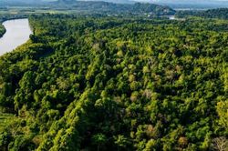 Lợi ích của thị trường carbon đối với Việt Nam