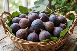 Quả sung có giúp giảm cân?