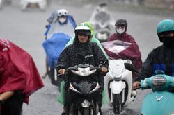 Mưa lớn kéo dài ở miền Bắc, cây trồng đối mặt nguy cơ ngập úng, đổ gãy