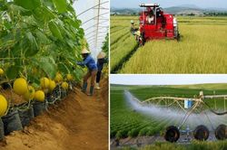 Cải c&aacute;ch thủ tục, kiến tạo động lực mới cho ng&agrave;nh trồng trọt