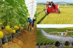 Cải cách thủ tục, kiến tạo động lực mới cho ngành trồng trọt