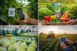 Hệ thống truy xuất nguồn gốc nông sản quốc gia: Nâng cao hiệu quả quản lý, tăng tính minh bạch