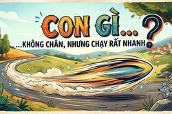 Con gì không chân nhưng chạy rất nhanh?
