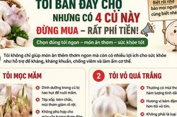 Tỏi bán đầy chợ nhưng có 4 loại 'tưởng ngon mà hóa ra phí tiền': biết sớm để tránh mua nhầm