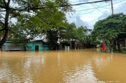 Những tỉnh thành thiệt hại nặng nề nhất do mưa lũ