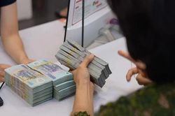 Từ 15/8, vay ng&acirc;n h&agrave;ng đến 400 triệu đồng sẽ kh&ocirc;ng cần c&oacute; phương &aacute;n sử dụng vốn