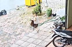 Bố mẹ đều tưởng người kia đưa con đi học, bé 5 tuổi chạy bộ 1 km đuổi theo mẹ