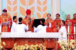 Lễ tuy&ecirc;n phong Ch&acirc;n phước linh mục Trương Bửu Diệp