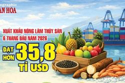 Xuất khẩu nông lâm thủy sản 6 tháng đầu năm 2026 đạt hơn 35,8 tỉ USD