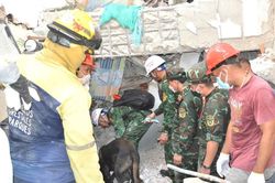 Đo&agrave;n Việt Nam đ&atilde; đưa 23 nạn nh&acirc;n động đất tại Venezuela ra khỏi đống đổ n&aacute;t