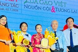 Hơn 1.300 tác phẩm tham gia cuộc thi sáng tác về lúa gạo Việt