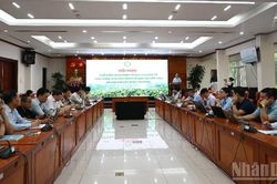 Ho&agrave;n thiện h&agrave;nh lang ph&aacute;p l&yacute; để đưa thị trường carbon rừng v&agrave;o thực tiễn