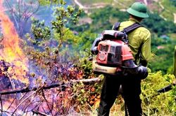 Tuyệt đối không được lơ là, chủ quan, mất cảnh giác trong phòng, chống cháy rừng