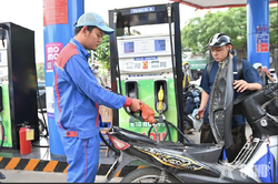 Một th&aacute;ng triển khai xăng E10: Thị trường ổn định, kh&ocirc;ng đứt g&atilde;y nguồn cung