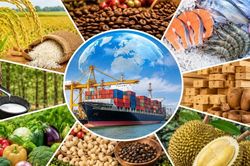 Xuất khẩu n&ocirc;ng, l&acirc;m, thủy sản đạt gần 36 tỷ USD trong 6 th&aacute;ng