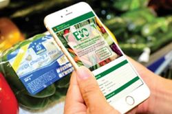 Hệ thống truy xuất nguồn gốc nông sản Việt Nam chính thức hoạt động