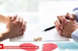 Nguyên đơn bị bắt trong vụ án hình sự, việc ly hôn, chia tài sản xử lý thế nào?