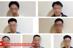 Khởi tố 7 đối tượng ph&aacute;t t&aacute;n hơn 26.000 phim lậu, thu h&agrave;ng triệu USD tiền quảng c&aacute;o