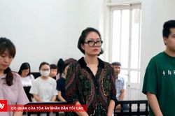 Doanh thu hơn 835 tỷ đồng từ bán đồ hiệu trên Facebook, nữ chủ shop bị cáo buộc trốn thuế