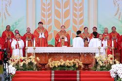 Linh thiêng Thánh lễ tuyên phong Chân phước lần đầu diễn ra tại Việt Nam