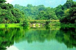 Bộ NN&MT muốn tiếp tục quản l&yacute; 4 vườn quốc gia C&uacute;c Phương, Tam Đảo, Bạch M&atilde;, Yok Đ&ocirc;n