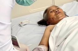 Xuyên đêm đưa vắc xin, huyết thanh cứu cụ bà 79 tuổi bị chó cắn trọng thương