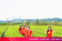 Check in đồi chè xanh mát ở phía tây Hà Tĩnh