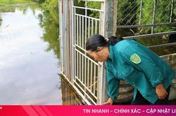 'Sống chung với lũ' giữa m&ugrave;a h&egrave;
