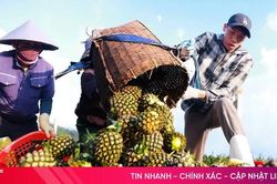 Ngành nông nghiệp và môi trường phấn đấu đạt mức tăng trưởng 4% năm 2026