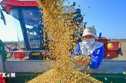 Trung Quốc, Mỹ đạt nhận thức chung về th&uacute;c đẩy thương mại n&ocirc;ng sản hai chiều
