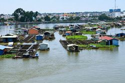 Đồng Nai 'khai tử' hàng nghìn lồng bè giữa lòng đô thị