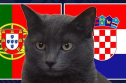 M&egrave;o 'ti&ecirc;n tri' dự đo&aacute;n kết quả trận Bồ Đ&agrave;o Nha vs Croatia: Ronaldo tiếp tục 'nổ s&uacute;ng'?