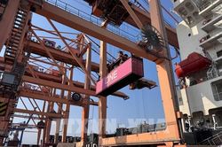 Nghị quyết 10-NQ/TW: Hải Phòng đón đầu làn sóng dịch chuyển dòng vốn FDI xanh
