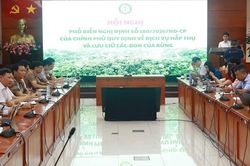 Thiết lập khung pháp lý toàn diện cho dịch vụ carbon rừng