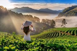 AI, AR, VR - C&acirc;u chuyện b&aacute;n cảm x&uacute;c, k&yacute; ức v&agrave; những gi&aacute; trị c&aacute; nh&acirc;n h&oacute;a
