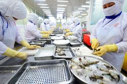 Xuất khẩu thủy sản bứt ph&aacute; mạnh mẽ