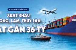 Infographic | Xuất khẩu n&ocirc;ng, l&acirc;m, thủy sản đạt gần 36 tỷ USD