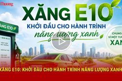 Xăng E10: Khởi đầu cho h&agrave;nh tr&igrave;nh năng lượng xanh