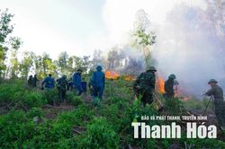 Quyết liệt triển khai c&aacute;c biện ph&aacute;p cấp b&aacute;ch ph&ograve;ng ch&aacute;y, chữa ch&aacute;y rừng