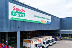 Giải mã 3 'tử huyệt' khiến chợ online Sendo Farm đóng cửa