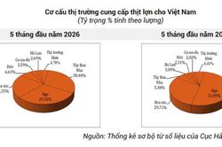 Kim ngạch nhập khẩu thịt heo giảm mạnh