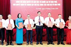 Bắc Ninh: Sắp xếp th&ocirc;n, tổ d&acirc;n phố, tạo dư địa ph&aacute;t triển